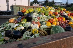 Grocery Waste Shredding Solution Tailored for Vermicomposting Operations