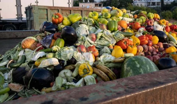 Solution de broyage des déchets alimentaires adaptée aux opérations de lombricompostage
