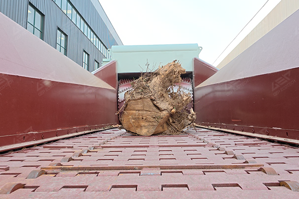 Tree Root