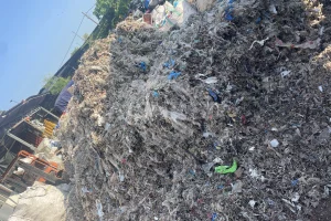 Shred Waste From Pulp and Paper Factory Rejects to Produce Alternative Fuel