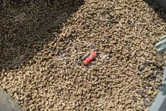 GEP ECOTECH Provides Intelligent and Efficient Wood Granulation Production Lines