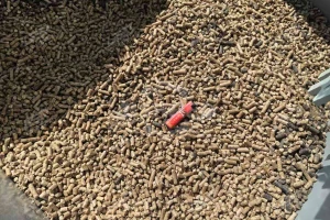 GEP ECOTECH Provides Intelligent and Efficient Wood Granulation Production Lines