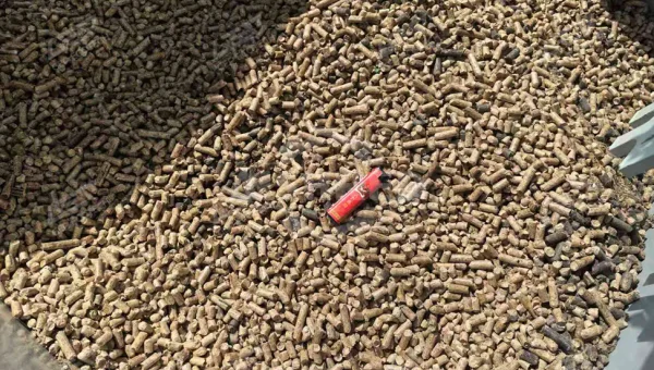 GEP ECOTECH Provides Intelligent and Efficient Wood Granulation Production Lines