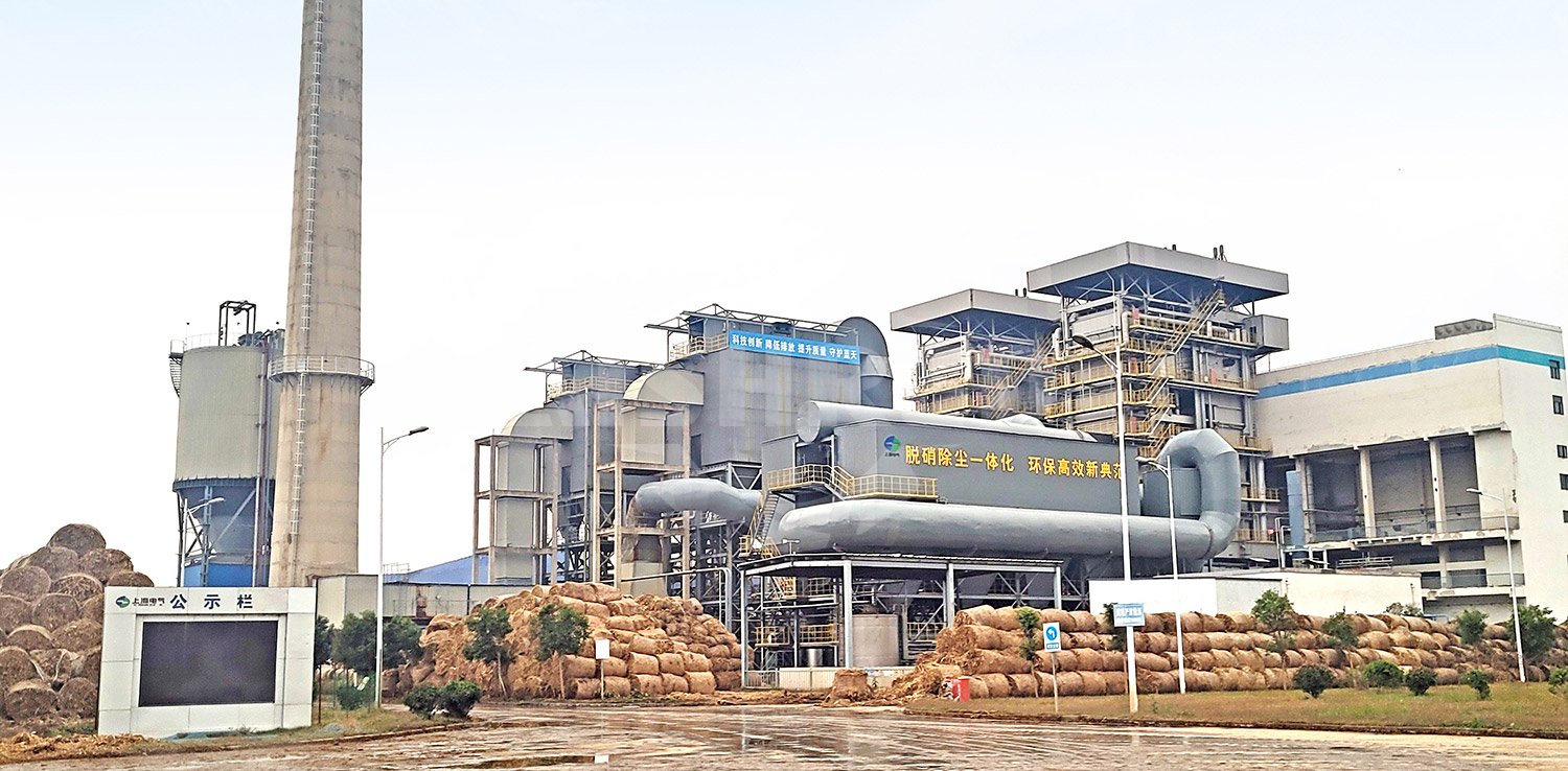 Biomass co-firing in coal-fired power plant