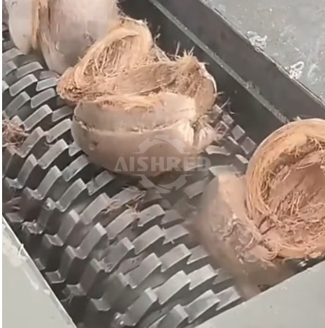 Coconut Shell Two Shaft Crusher