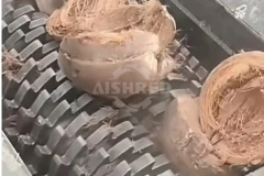 Coconut Shell Crusher Comparison: Twin Shaft Shredder vs Hammer Mill for Carbonization Preparation