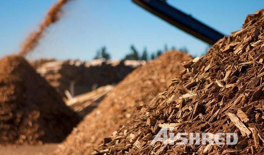 Biomass(Wood Chips)