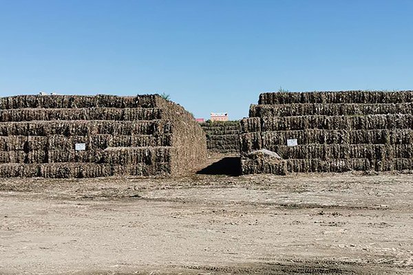 Straw Biomass