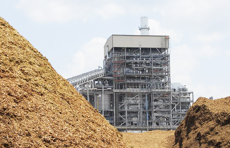 Biomass Power Plant