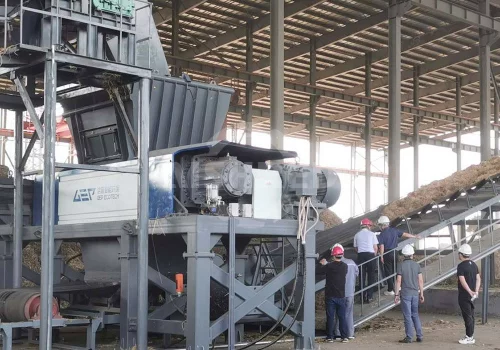 Biomass to Solid Biofuel System | Pretreatment for Boilers & Power Plants