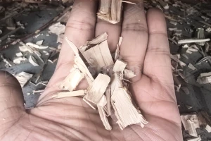 Advanced Drum Chipper Solutions for Maximizing Wood Recycling Efficiency by GEP ECOTECH