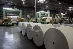 Handling Pre-Consumer Paper Waste: Shredding Solutions for Print and Converting Plants