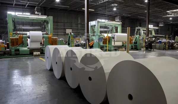 Handling Pre-Consumer Paper Waste: Shredding Solutions for Print and Converting Plants