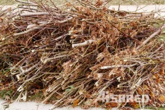 Twin-Shaft Shredder for Processing Green Waste and Biomass