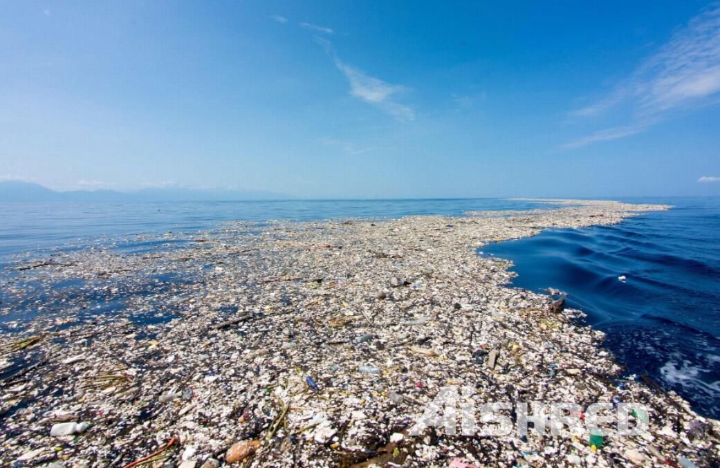 Great Pacific Garbage Patch