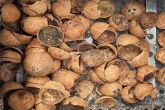 Coconut Shell Recycling and Utilization: Solutions and Equipment Selection