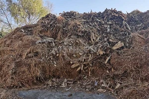 GEP ECOTECH GXB-serie hamermolen: een stabiele oplossing voor het fijn versnipperen van biomassa