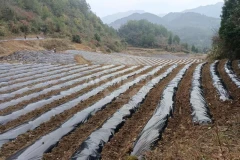 GEP ECOTECH's Innovative Solution Tackles Agricultural Film Recycling Challenges, Boosting Sustainable Agriculture