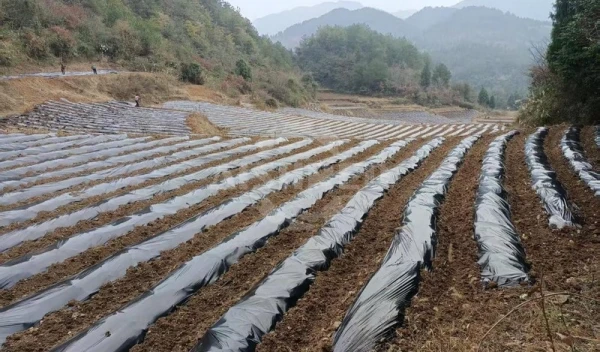 GEP ECOTECH的創新解決方案應對農膜回收挑戰，促進永續農業