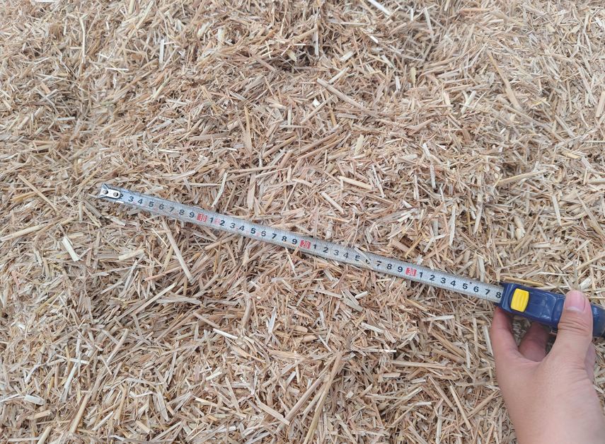 Fine Shredding Discharge