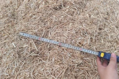 GEP ECOTECH High-Efficiency Biomass Alternative Fuel Production Line