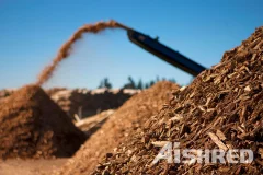 Wood Waste Recycling Plant for Sale