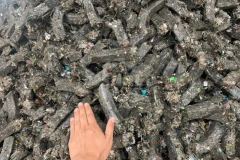 Advantages and Suggestions for Adding Wood Chips in the RDF Pellet Production Process