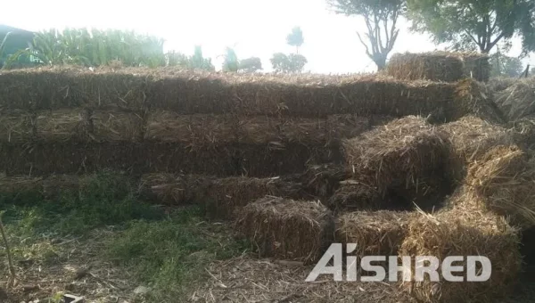 Mesin Penghancur Daun Tebu, Mesin Penghancur Biomassa GEP ECOTECH Dijual