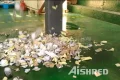 https://www.aishred.com/dm-content/uploads/q2bnm5cs9zaj.png