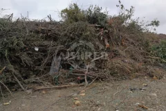 Garden Shredder Solutions—Heavy-Duty Wood Waste Management by GEP ECOTECH