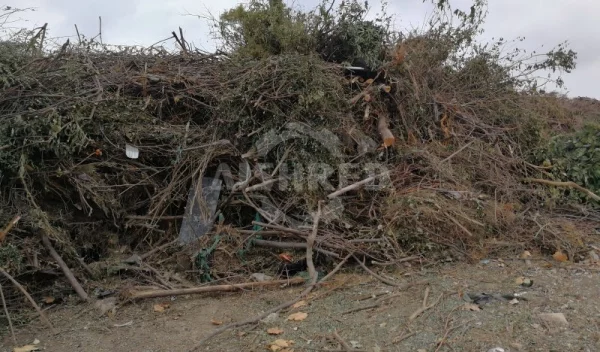 Garden Shredder Solutions—Heavy-Duty Wood Waste Management by GEP ECOTECH