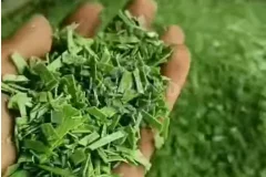 Small Plastic Shredder Machine—Compact Design, Big Recycling Value