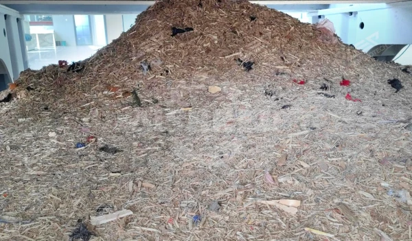 GEP ECOTECH lanza una trituradora de madera avanzada para aplicaciones de alta capacidad y granulado fino.