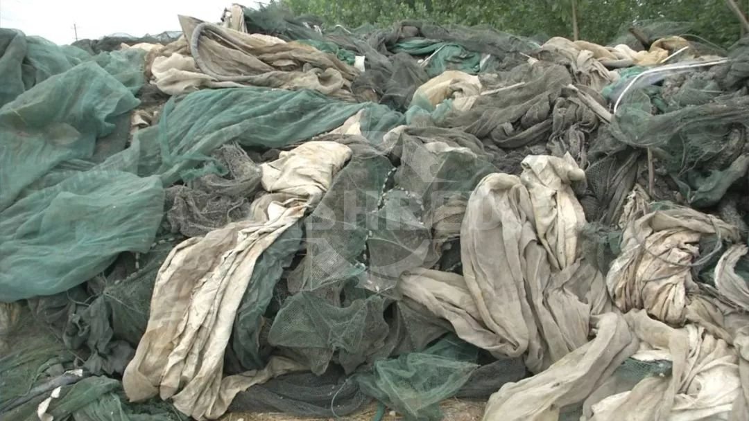 Abandoned Fishing Nets