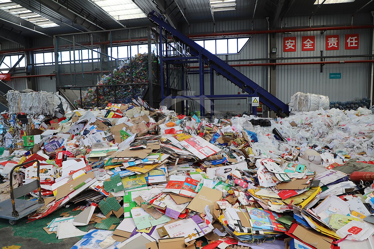 Waste Cardboard