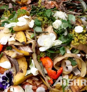 Shredder Machine for Biodegradable Waste