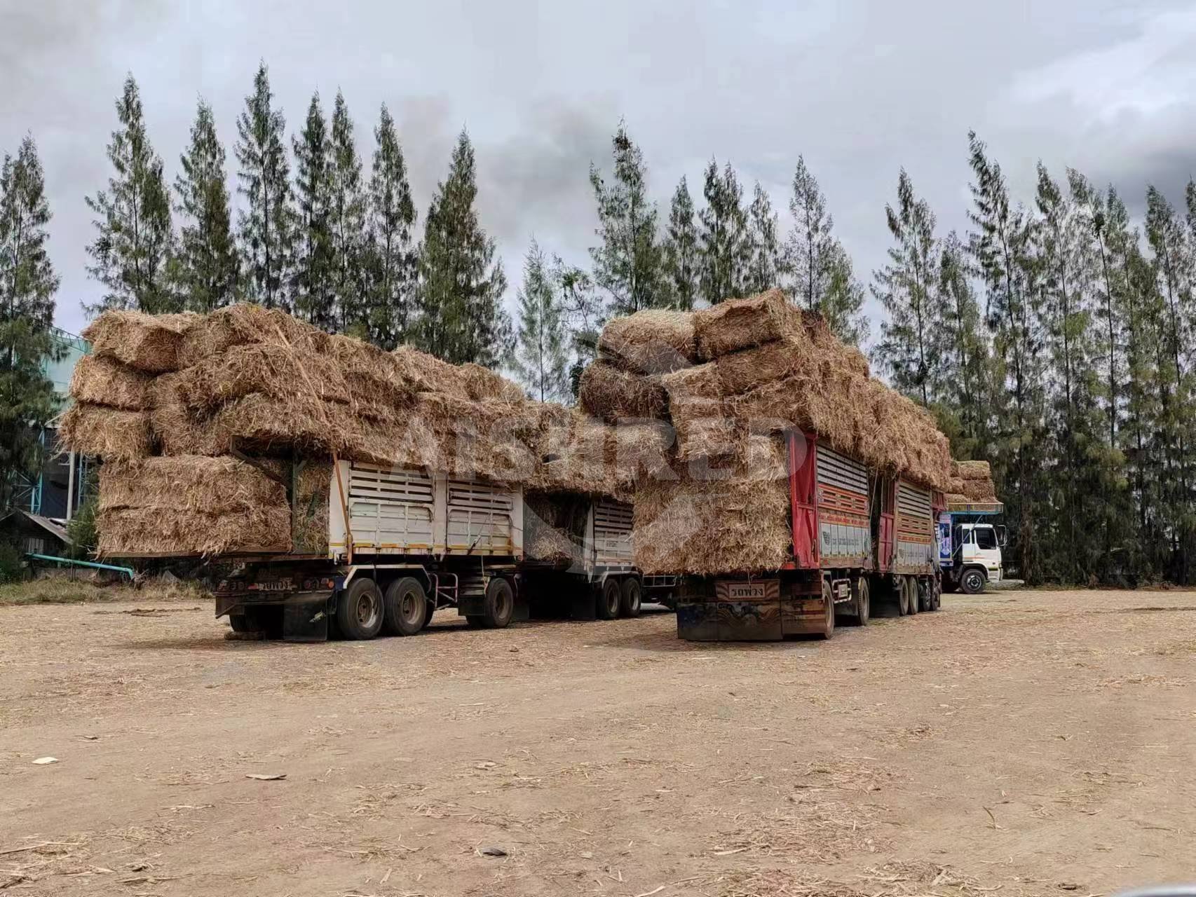 Biomass Straw