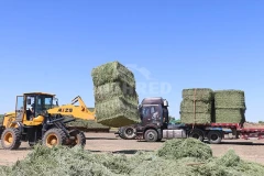 GEP ECOTECH Biomass Pelletization Lines: Your Custom Solution for High-Quality Biofuel Production