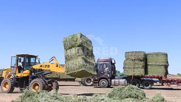 GEP ECOTECH生物質顆粒化生產線：高品質生質燃料製造的客製化解決方案