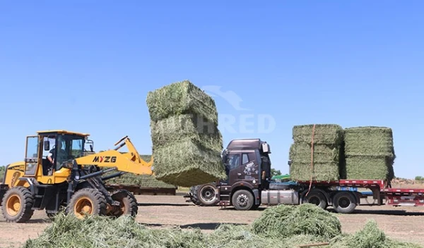 GEP ECOTECH生物質顆粒化生產線：高品質生質燃料製造的客製化解決方案