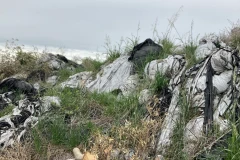 Two Agricultural Film Recycling Methods Recommended by GEP ECOTECH